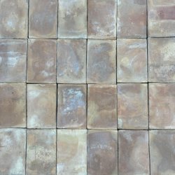 450420529_499932115878416_8372337299296477314_n