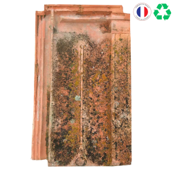 Matériaux d'Antan : TUILE PLATE  42 CM