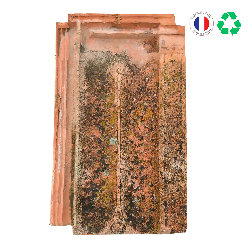 Matériaux d'Antan : TUILE PLATE  42 CM
