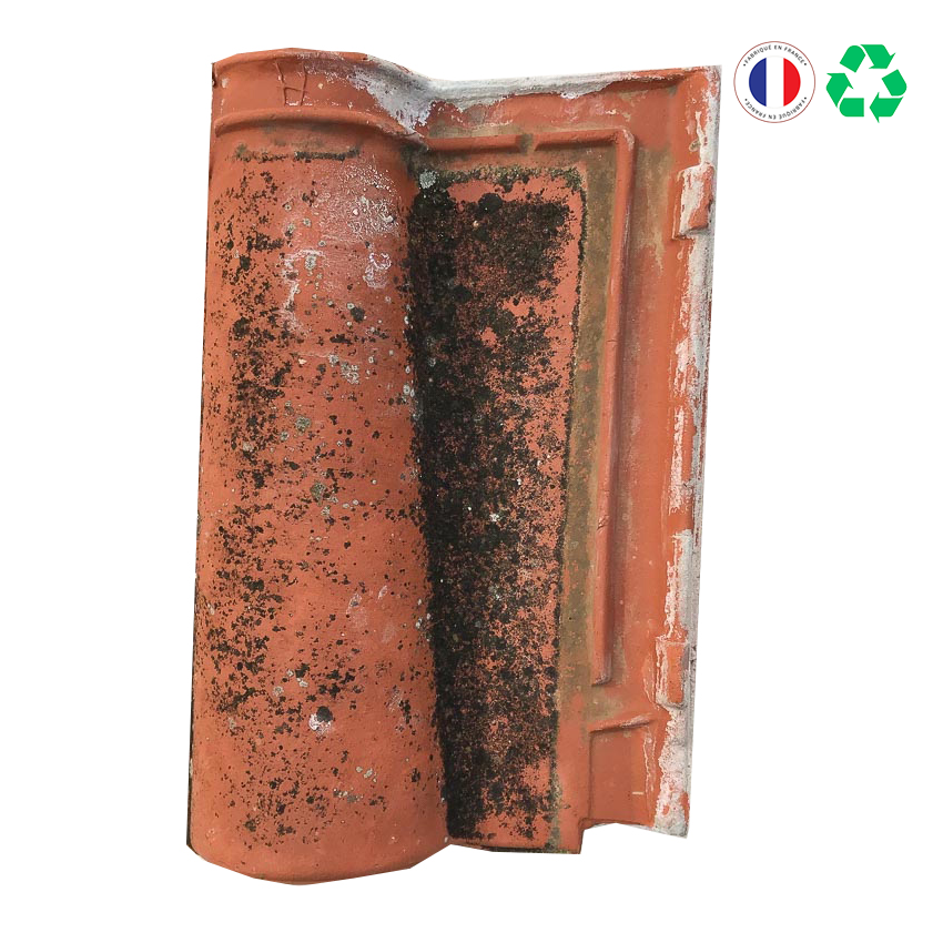 Matériaux d'Antan : TUILE ROMANE LISSE