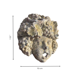 Matériaux d'Antan : GUEULOIR BACCHUS