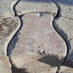 PAV-007-PAV-007 img3