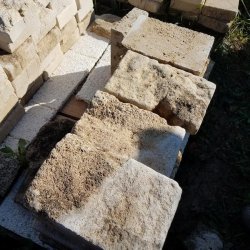 PAV-008-PAV-008 img3