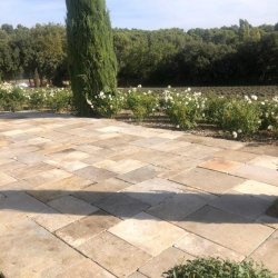 311942524_496206975740734_7773048677676483273_n