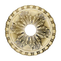 FOACR-048-FOACR-048-1